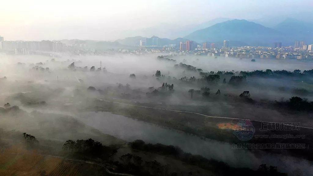 被困的狮王逃生3