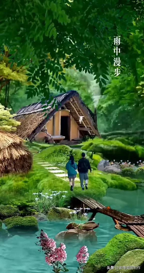 救援受困的小野猫