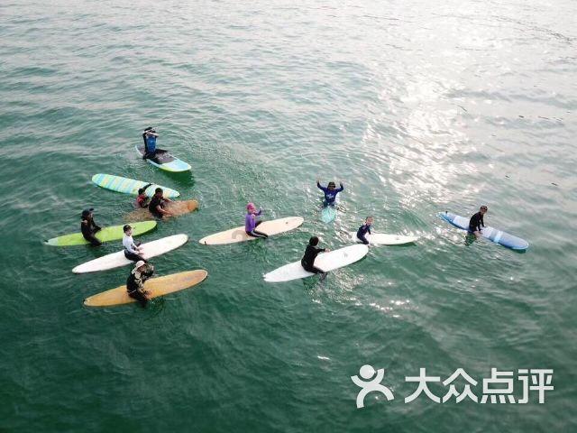 贵州草海国家级自然保护区,迎来黑颈鹤越冬高峰